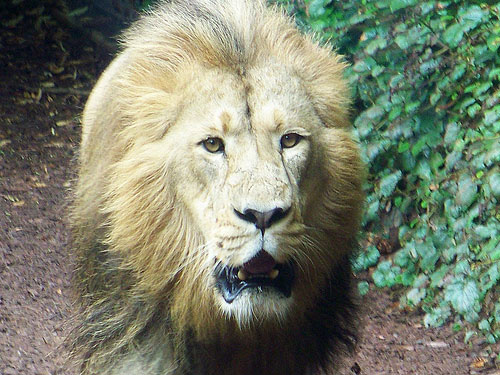 Newquay Zoo & Blue Reef Aquarium CROSSROADS